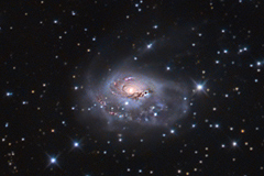 NGC1961_2017